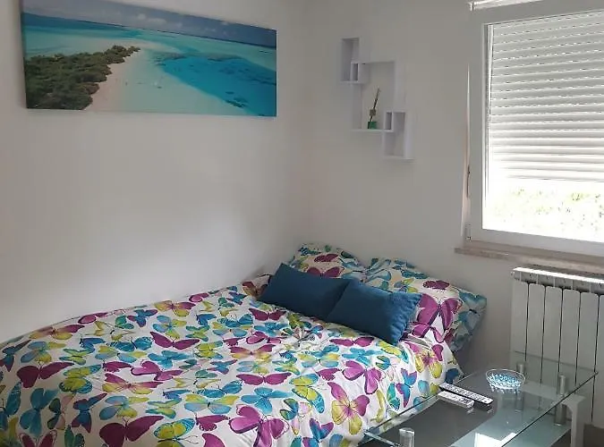 Apartman Vigo *